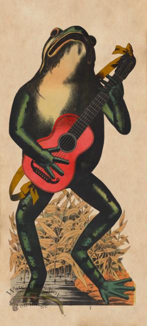 Frog Playing Red Guitar